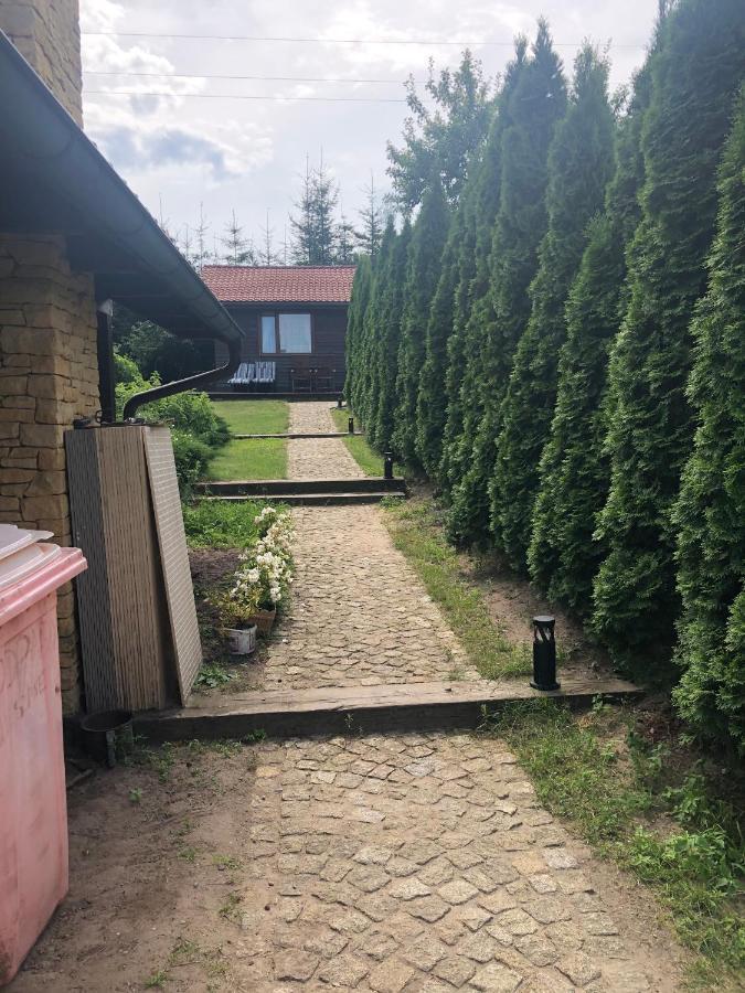 Villa Victoria Rydzewo Bagian luar foto